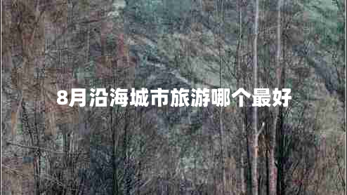 8月沿海城市旅游哪個最好