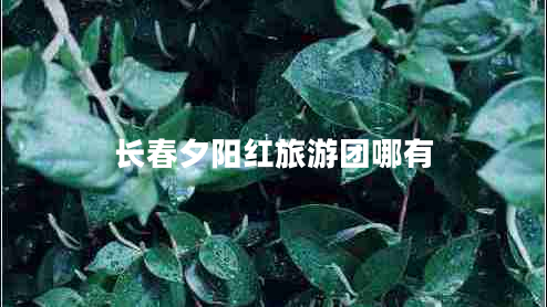 長(cháng)春夕陽(yáng)紅旅游團哪有