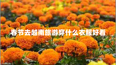 春節去越南旅游穿什么衣服好看