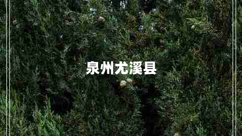 泉州尤溪縣