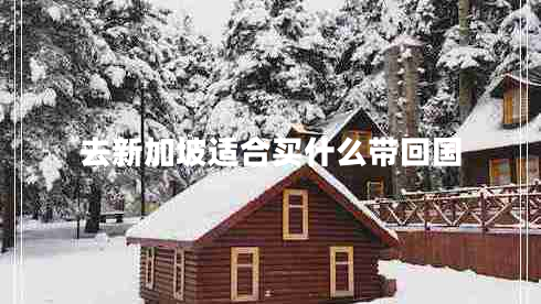 去新加坡適合買(mǎi)什么帶回國