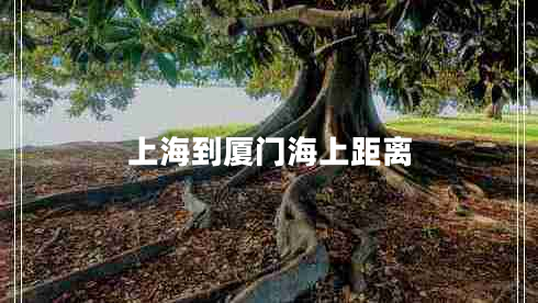上海到廈門(mén)海上距離