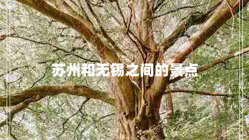 蘇州和無(wú)錫之間的景點(diǎn)