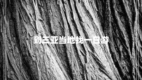 到三亞當地找一日游