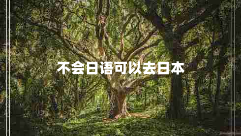 不會(huì )日語(yǔ)可以去日本