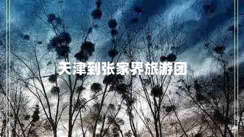 天津到張家界旅游團