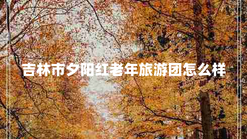 吉林市夕陽紅老年旅游團怎么樣