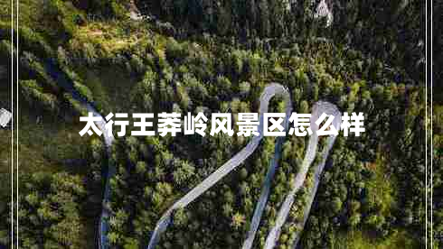 太行王莽嶺風(fēng)景區(qū)怎么樣