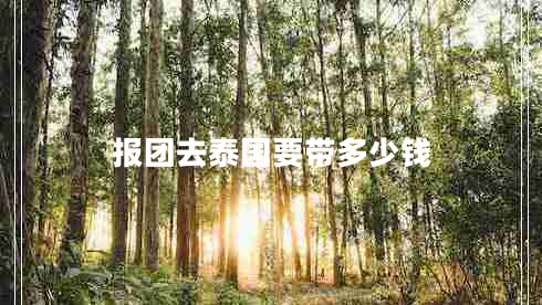 報團去泰國要帶多少錢(qián)