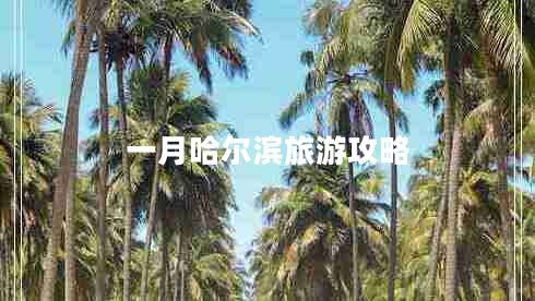 一月哈爾濱旅游攻略