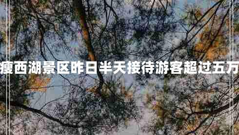 據統計瘦西湖景區昨日半天接待游客超過(guò)五萬(wàn)人左右