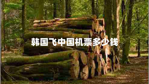 韓國飛中國機(jī)票多少錢