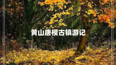 黃山唐模古鎮游記