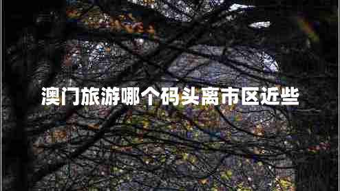 澳門(mén)旅游哪個(gè)碼頭離市區近些