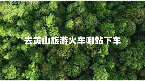 去黃山旅游火車(chē)哪站下車(chē)