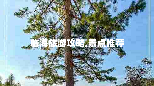 臨海旅游攻略,景點(diǎn)推薦