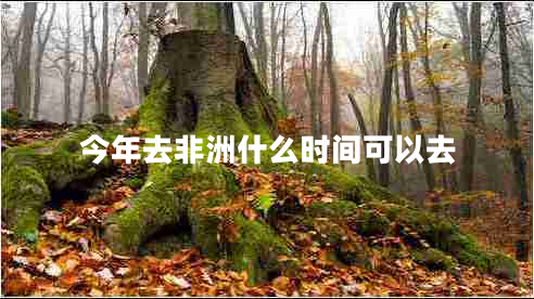 今年去非洲什么時(shí)間可以去