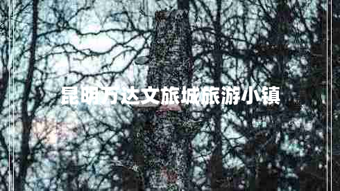 昆明萬(wàn)達文旅城旅游小鎮