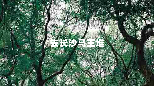 去長(cháng)沙馬王堆