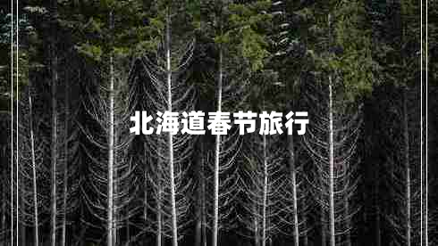 北海道春節旅行