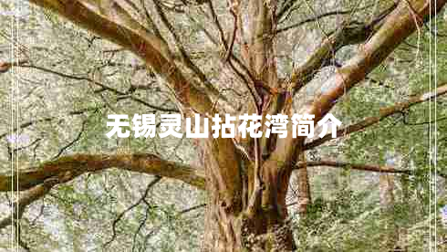 無(wú)錫靈山拈花灣簡(jiǎn)介