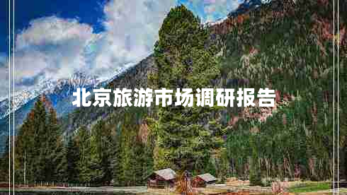 北京旅游市場(chǎng)調研報告
