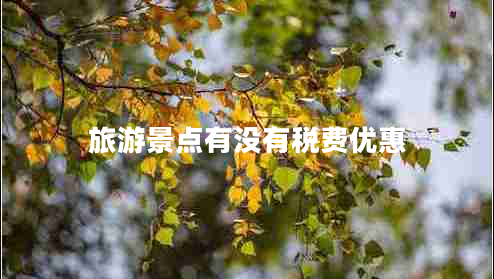 旅游景點(diǎn)有沒(méi)有稅費優(yōu)惠