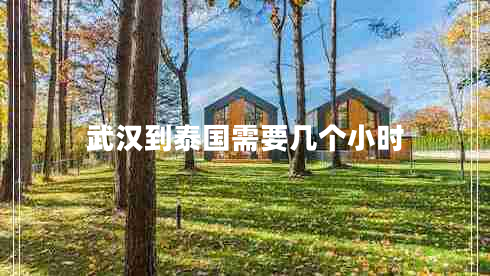 武漢到泰國需要幾個(gè)小時(shí)