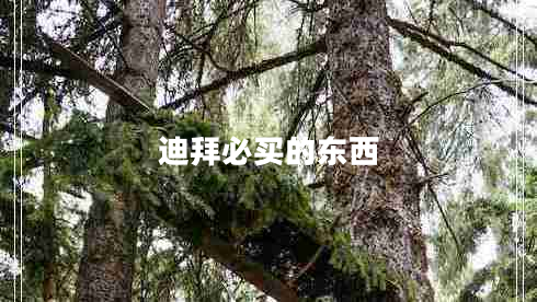 迪拜必買(mǎi)的東西