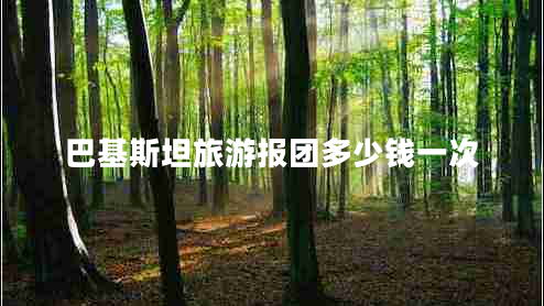巴基斯坦旅游報團多少錢(qián)一次