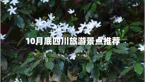 10月底四川旅游景點(diǎn)推薦