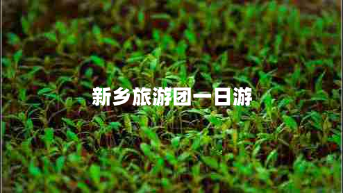 新鄉旅游團一日游