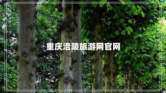 重慶涪陵旅游網(wǎng)官網(wǎng)