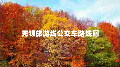 無(wú)錫旅游線(xiàn)公交車(chē)路線(xiàn)圖