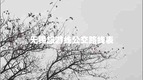 無(wú)錫旅游線(xiàn)公交路線(xiàn)表