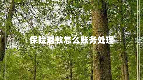 保險返款怎么賬務(wù)處理