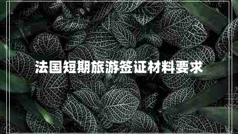 法國短期旅游簽證材料要求