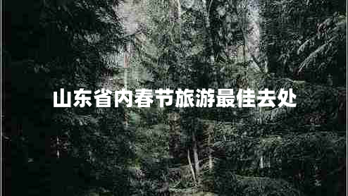 山東省內春節旅游最佳去處