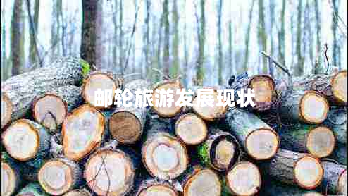 郵輪旅游發(fā)展現狀