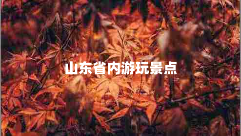 山東省內游玩景點(diǎn)