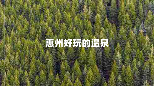 惠州好玩的溫泉