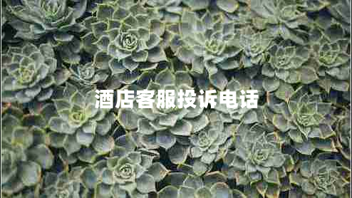 酒店客服投訴電話(huà)