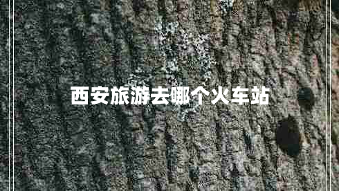 西安旅游去哪個(gè)火車(chē)站