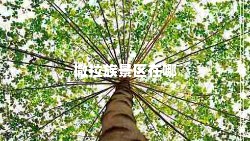 撒拉族景區在哪