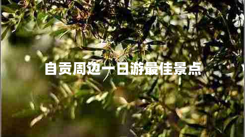 自貢周邊一日游最佳景點(diǎn)