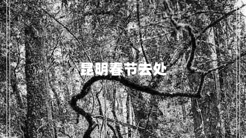 昆明春節去處