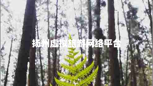 揚州虛擬旅游網(wǎng)絡(luò )平臺