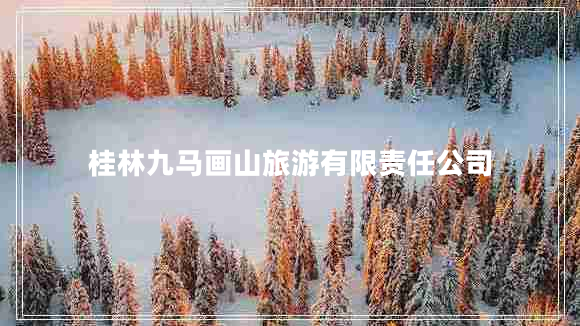 桂林九馬畫(huà)山旅游有限責任公司