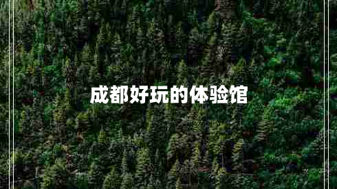 成都好玩的體驗館