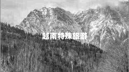 越南特殊旅游